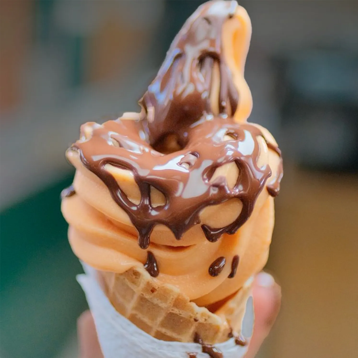 Cono waffle Parma