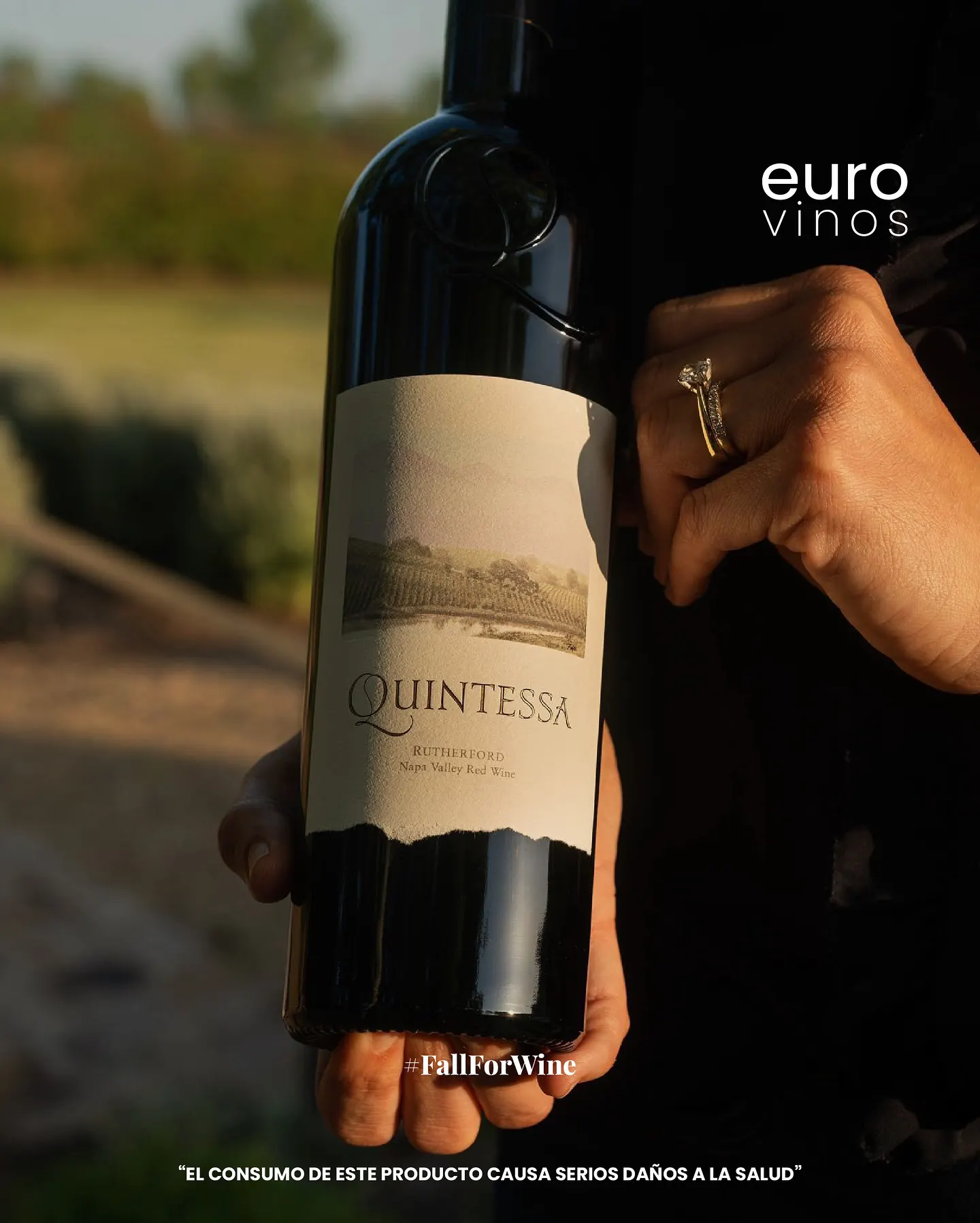 PromoEuroVinos2
