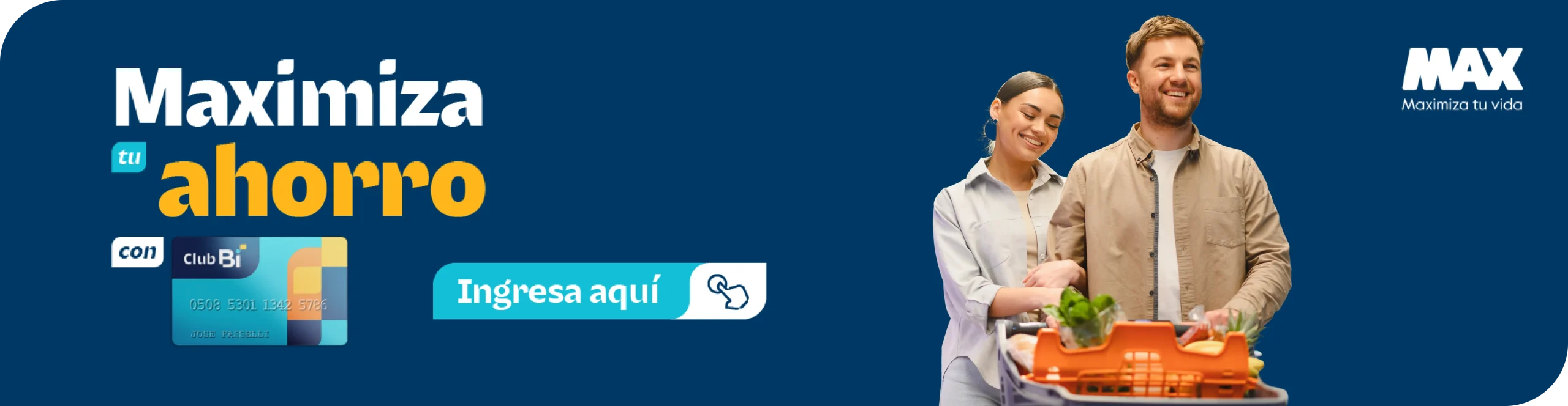 max_banner_dsk_1
